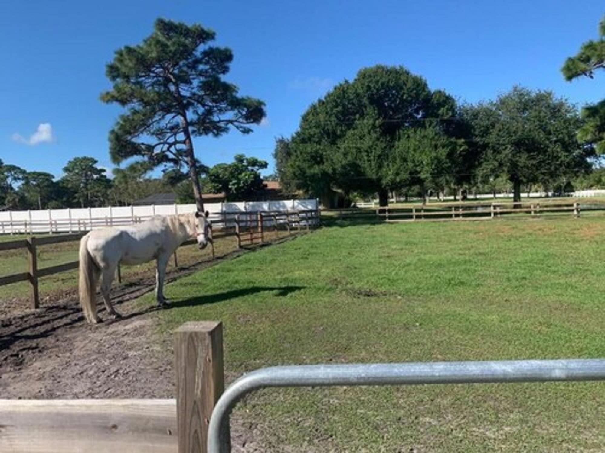 Oyo Family Ranch At Melbourne Fl Otel Dış mekan fotoğraf